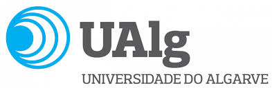 Partner 2 logo
